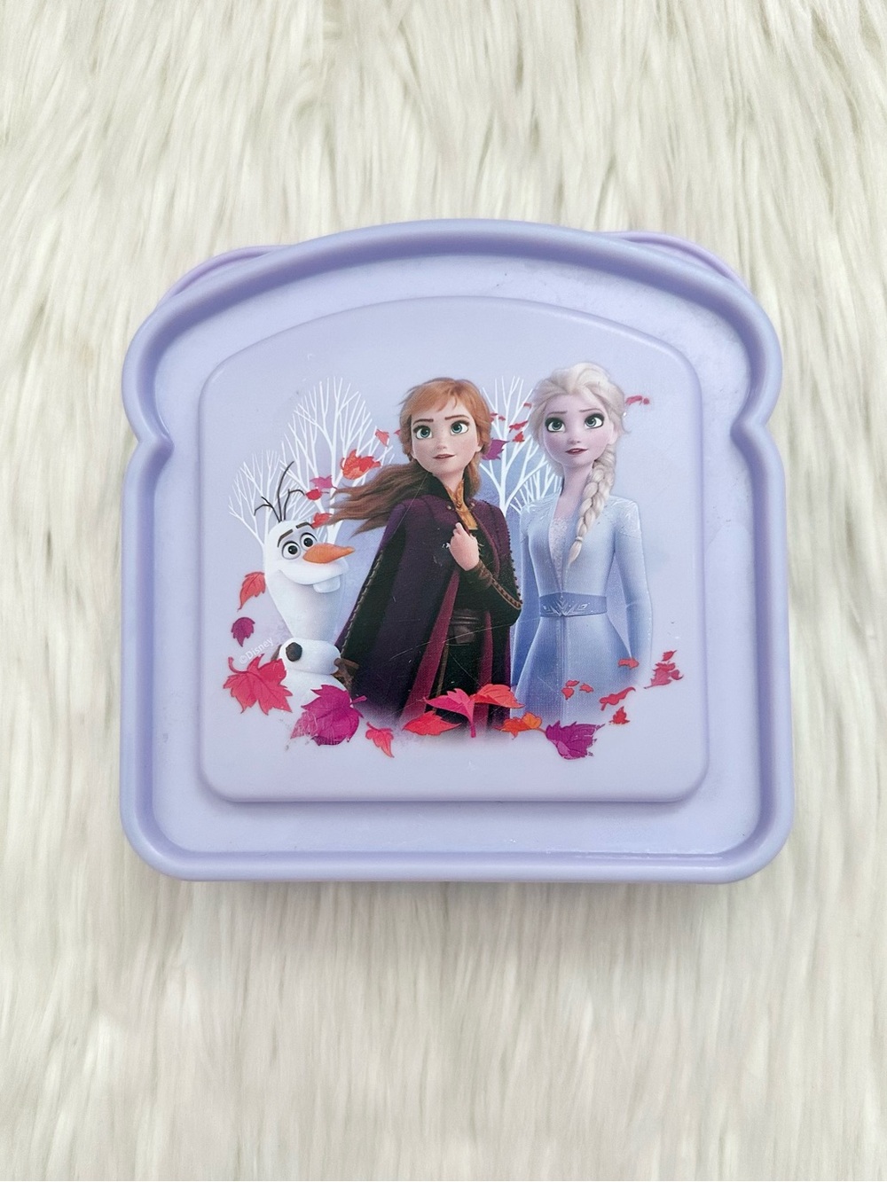 ELSA & ANNA CASE